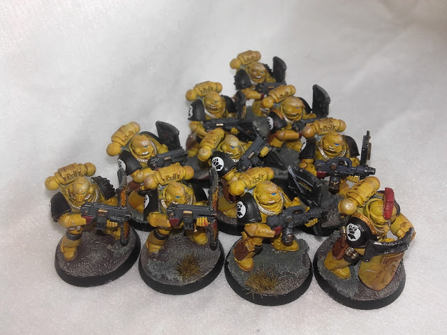Imperial Fists: Breacher Squad with new shoulders.